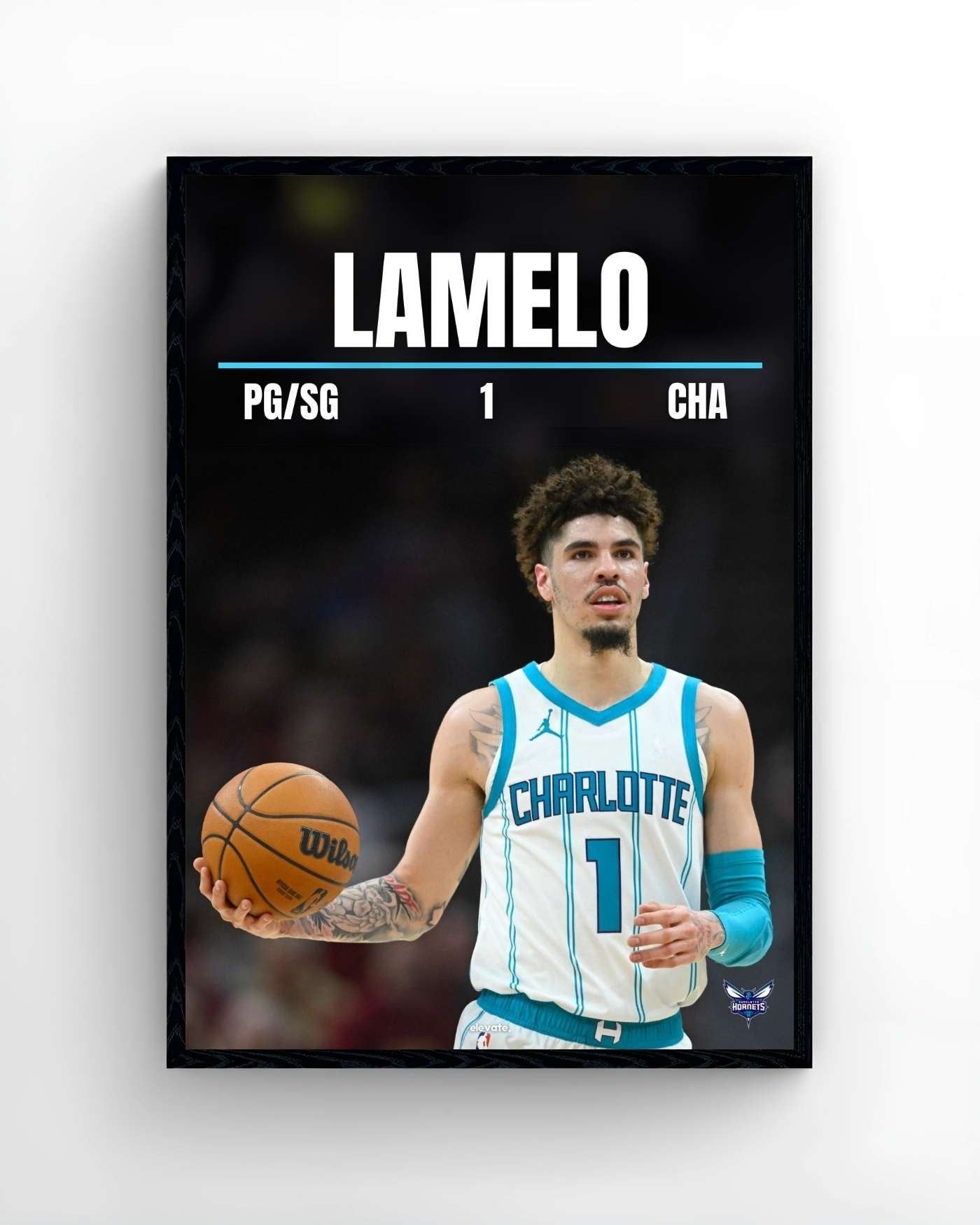 LaMelo Ball - Elevate